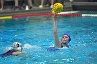 WWPolo vs CC  Wheaton College Women’s Water Polo compete in their sports inaugural match vs Connecticut College. - Photo By: KEITH NORDSTROM : Wheaton, water polo, inaugural